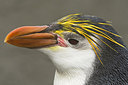 BUITEN BEELD Foto: 242680