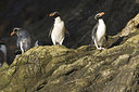 BUITEN BEELD Foto: 242681