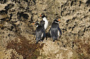 BUITEN BEELD Foto: 242682