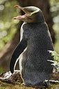 BUITEN BEELD Foto: 242683