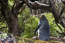 BUITEN BEELD Foto: 242684