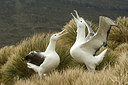 BUITEN BEELD Foto: 242698