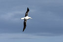BUITEN BEELD Foto: 242709