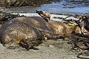 BUITEN BEELD Foto: 242730
