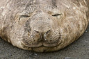 BUITEN BEELD Foto: 242731