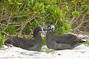 BUITEN BEELD Foto: 242847