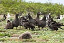 BUITEN BEELD Foto: 242848