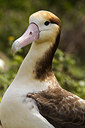 BUITEN BEELD Foto: 242858