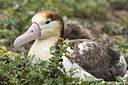 BUITEN BEELD Foto: 242859