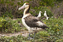 BUITEN BEELD Foto: 242860