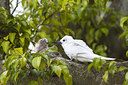 BUITEN BEELD Foto: 242867