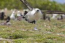 BUITEN BEELD Foto: 242879