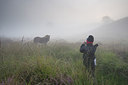BUITEN BEELD Foto: 242888