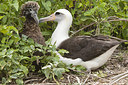 BUITEN BEELD Foto: 242892