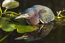 BUITEN BEELD Foto: 242988