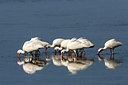 BUITEN BEELD Foto: 242989