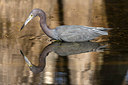 BUITEN BEELD Foto: 242994