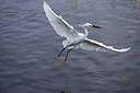 BUITEN BEELD Foto: 243000