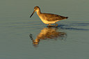 BUITEN BEELD Foto: 243006