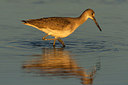 BUITEN BEELD Foto: 243007