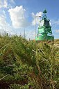BUITEN BEELD Foto: 243028