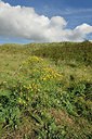 BUITEN BEELD Foto: 243031