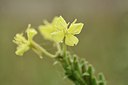 BUITEN BEELD Foto: 243034