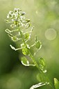BUITEN BEELD Foto: 243042