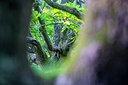 BUITEN BEELD Foto: 243193
