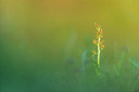 BUITEN BEELD Foto: 243230