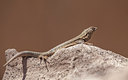 BUITEN BEELD Foto: 243270