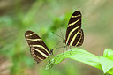 BUITEN BEELD Foto: 243280