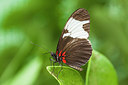 BUITEN BEELD Foto: 243283