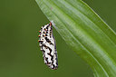 BUITEN BEELD Foto: 243457
