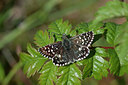 BUITEN BEELD Foto: 243459