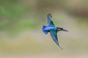 BUITEN BEELD Foto: 243497