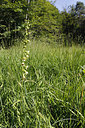 BUITEN BEELD Foto: 243521