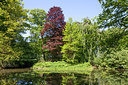 BUITEN BEELD Foto: 243546