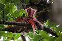 BUITEN BEELD Foto: 243571