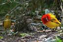 BUITEN BEELD Foto: 243578