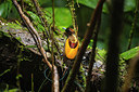 BUITEN BEELD Foto: 243584