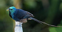 BUITEN BEELD Foto: 243589