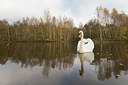 BUITEN BEELD Foto: 243653