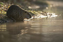 BUITEN BEELD Foto: 243680
