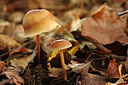 BUITEN BEELD Foto: 243705