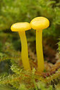 BUITEN BEELD Foto: 243714