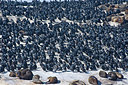 BUITEN BEELD Foto: 243778
