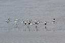BUITEN BEELD Foto: 243936
