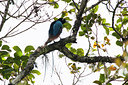 BUITEN BEELD Foto: 243984