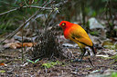 BUITEN BEELD Foto: 243992